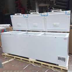 Tủ đông Inverter Sanden SNQ-0805i - ảnh 5 Ảnh thực tế tủ đông Inverter Sanden SNQ-0805i