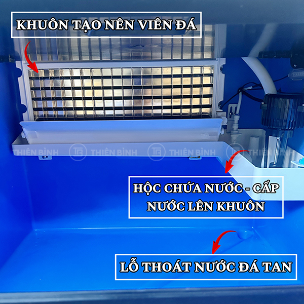 Máy làm đá viên 70kg/24h Snow Village AP-70 - ảnh 3 Khoang làm đá máy Snow Village AP-70