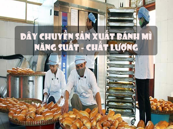 day-chuyen-san-xuat-banh-mi-chat-luong