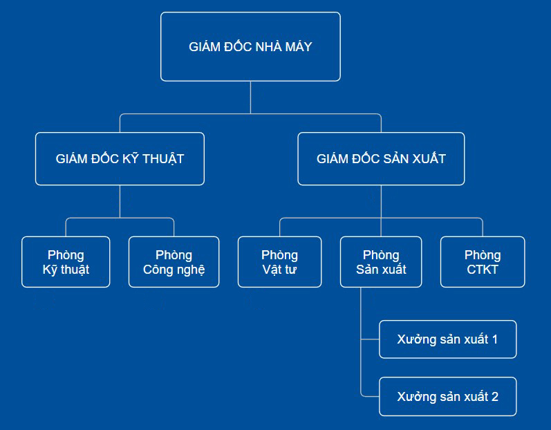 So do to chuc Thien Binh Group 2 1