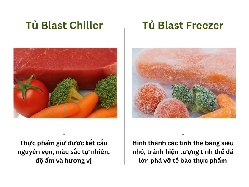 So sánh tủ Blast Chiller và tủ Blast Freezer - nên mua loại nào? - ảnh 5 Tác động trực tiếp lên thực phẩm